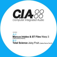 Juicy Fruit - Calibre Remix Part 2 track artwork