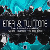 Never Have I Ever - Enea Remix track artwork