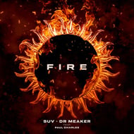 Fire - Bladerunner Dub Mix track artwork