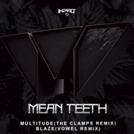 Blaze - Vowel Remix track artwork