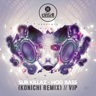 Hog Bass - VIP track artwork