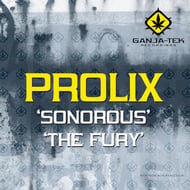 The Fury track artwork