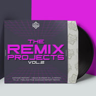 Feeling Fine - Damage Report Remix track artwork