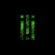 Lies With You track artwork