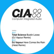 Bustin Loose - DJ Vapour Remix track artwork