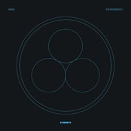 Diplodocus - Skeptical Remix track artwork
