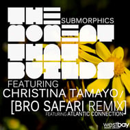 The Moment that Builds - Bro Safari & Atlantic Connection Remix track artwork