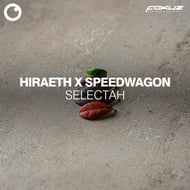 Selectah track artwork
