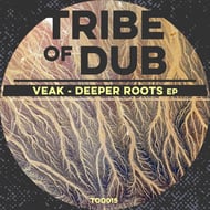 Critical Dub - Original Mix track artwork