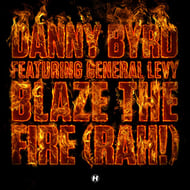Blaze The Fire (Rah!) - Stray Remix track artwork