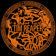 Wasting My Time - Tim Reaper Remix track artwork