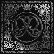 Pelican track artwork