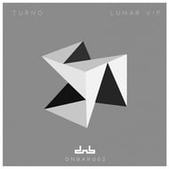 Lunar: VIP track artwork