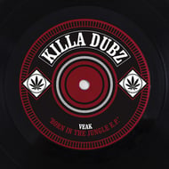 Junglist track artwork