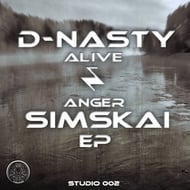 Anger track artwork