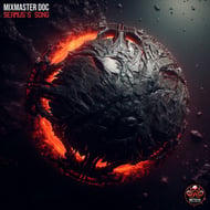 Seamus's Song track artwork