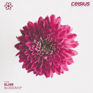 Blossom track artwork