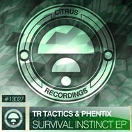 Insanity - Original Mix track artwork