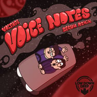 Voice Notes - Serum Remix track artwork