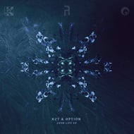 Icicular Paths track artwork
