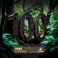 Skatty Dub track artwork