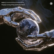 Stopping Turning - 2 Step Verification Remix track artwork
