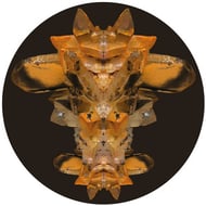 Totem track artwork