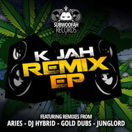 Dub Dun Already - Aries Remix track artwork
