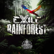 The Rainforest track artwork