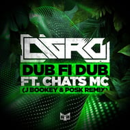 Dub fi Dub - J Bookey & Posk Remix track artwork