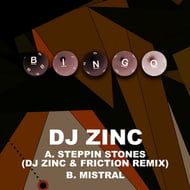 Steppin Stones - DJ Zinc & Friction Remix track artwork