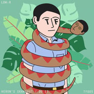Heron's Skankout track artwork