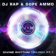 Divine Rhythm Trilogy, Pt. 1 - Jungle VIP Remix track artwork