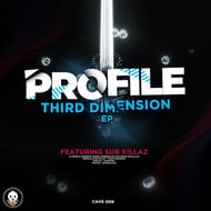 Third Dimension track artwork