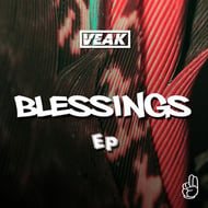 Worries In The Dance track artwork