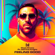 Feeling Good - Halflight Remix track artwork