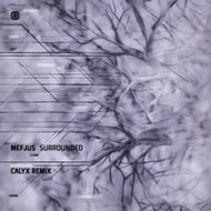 Surrounded - Calyx Remix track artwork