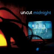 MIDNIGHT - M.I.S.T. V.I.P. REMIX track artwork