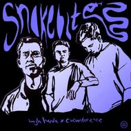 Snakebite track artwork