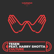 Culture (feat. Harry Shotta) track artwork