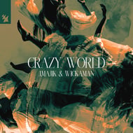 Crazy World - Magnet Men and Swifty-B Remix track artwork