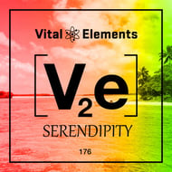 Serendipity - Serial Killaz Remix track artwork