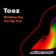 The Big Tree track artwork