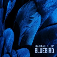 Bluebird track artwork