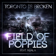 Field Of Poppies - Toronto Is Broken Remix track artwork
