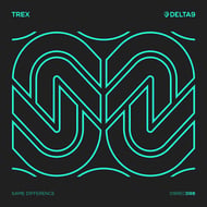 Never Slipin' track artwork