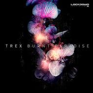 Crumble Down track artwork