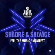 Manifest track artwork