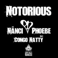 Notorious - Congo Natty Meets Chopstick Dubplate Remix track artwork