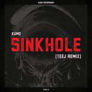 Sinkhole - Teej Remix track artwork